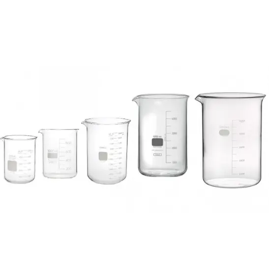 [R021] Bécher à Bec en Verre de Laboratoire | Différentes Capacités pour Bijouterie et Chimie (1000ml)
