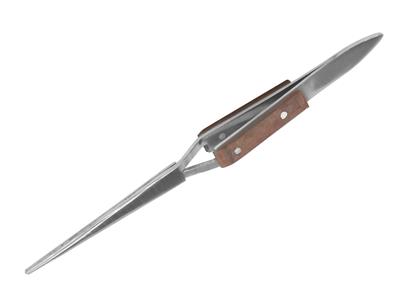 Brucelle croisée à pointes (Droite)